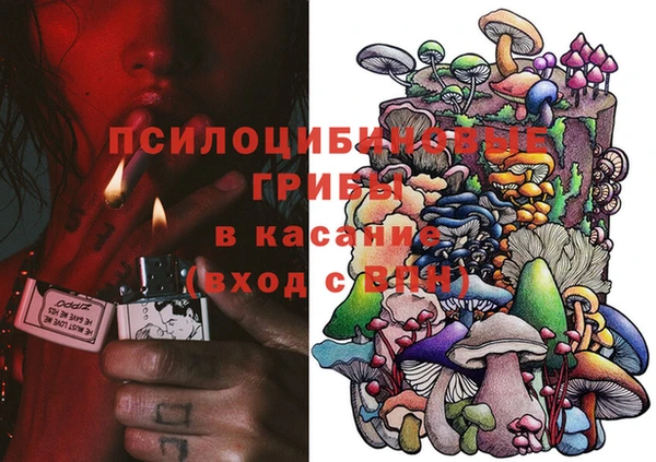 эйфоретик Верея