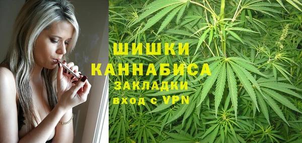 бошки Верхний Тагил