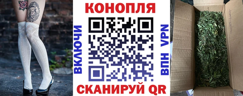 Купить закладки  Каменка  Шишки марихуана VHQ 
